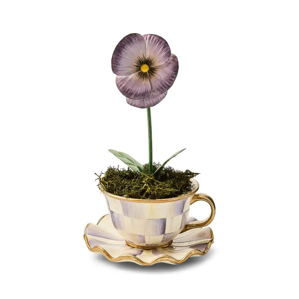 Violet Teacup Pansy